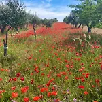 Oasi San Giovanni Альтамура